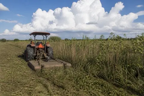 Bush hog behind a tractor mowing tall bluestem and tallow saplings on flat coastal prairie
