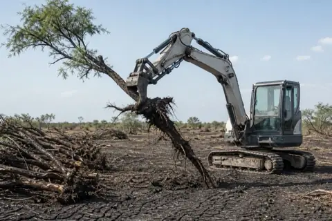 Excavator with root rake lifting a gnarled mesquite and its taproot from cracked prairie clay