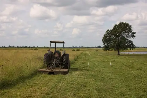 Tractor and bush hog reclaiming chest-high bluestem and tallow regrowth with a stock pond at the fence line